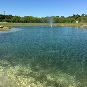 Buy Texas Sodium Bentonite for Ponds