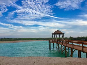 Texas Pond Builders | Sodium Bentonite Pond Sealer